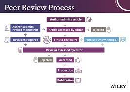 What is peer review and what is itś significance in research publications?