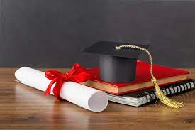 "Navigating the Seas of Academia: The Evolution of Your Ph.D. Journey"