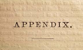 The Appendix's Essential Place in Your Doctoral Dissertation
