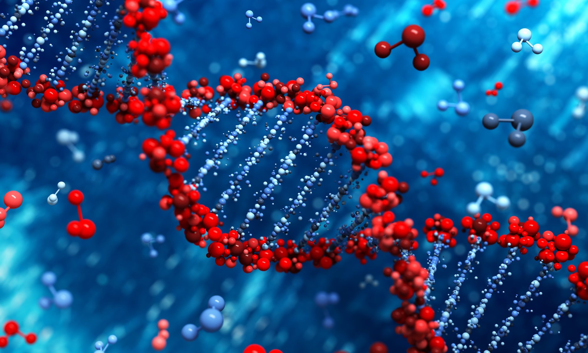 Ph.D. in Plant Molecular Biology: Introduction, Admission, Registration, Eligibility, Duration, Fees, Syllabus 2024