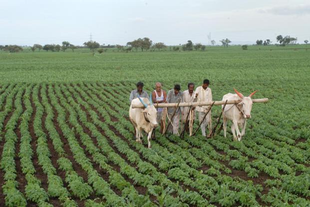 Ph.D. in Rural Economics: Introduction, Admission, Registration, Eligibility, Duration, Fees, Syllabus 2024