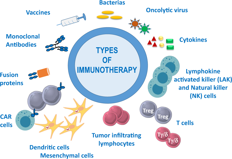 Ph.D. in Advanced Immunology: Introduction, Admission, Registration, Eligibility, Duration, Fees, Syllabus 2024