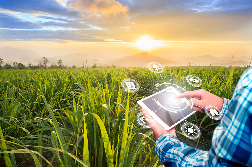Ph.D. in Agribusiness Management: Introduction, Admission, Registration, Eligibility, Duration, Fees, Syllabus 2024