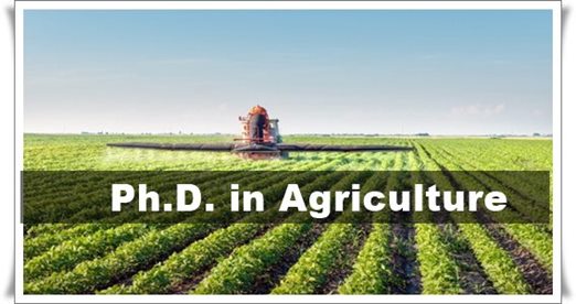 Ph.D. in Agricultural Studies: Introduction, Admission, Registration, Eligibility, Duration, Fees, Syllabus 2024