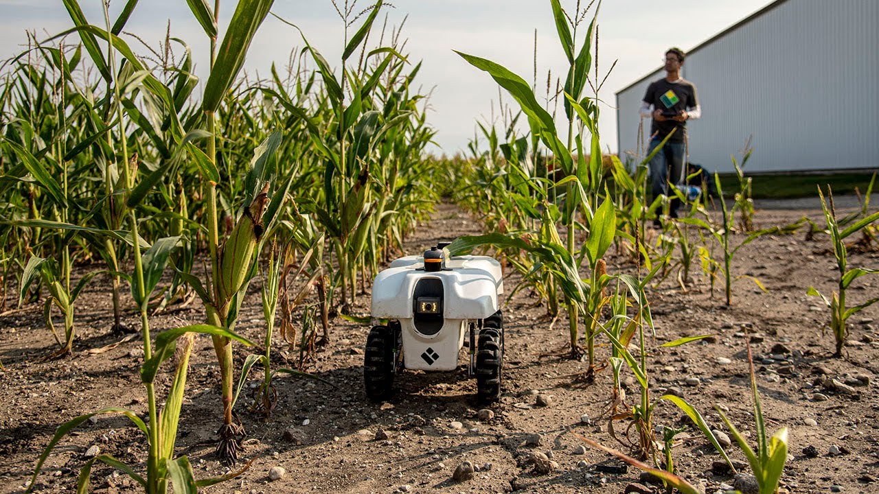 Ph.D. in Agricultural and Biological Engineering: Introduction, Admission, Registration, Eligibility, Duration, Fees, Syllabus 2024