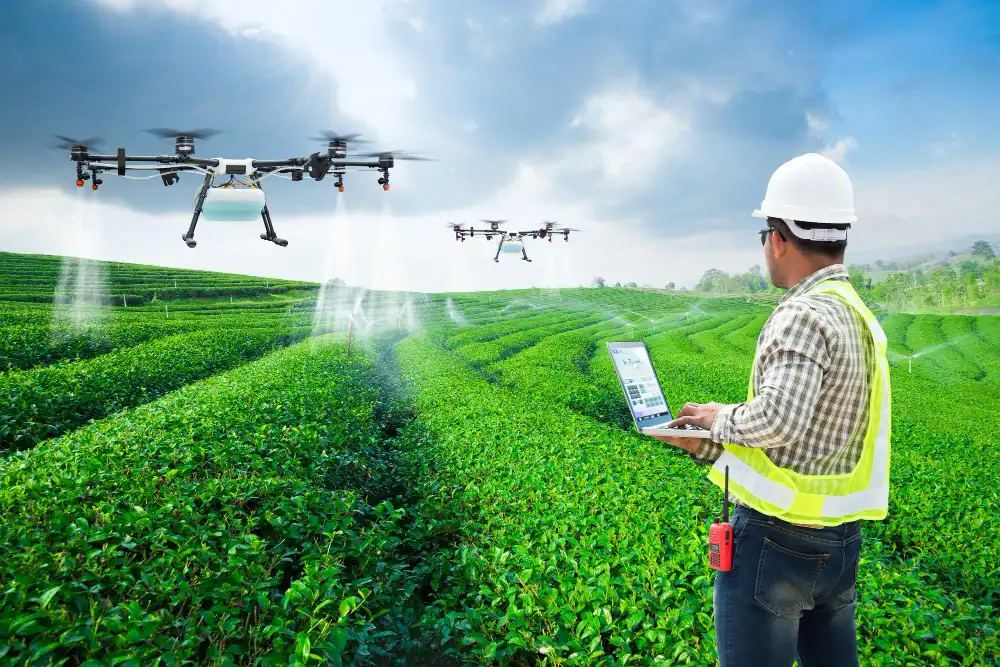Ph.D. in Agricultural and Biological Engineering with Concentration in GIS: Introduction, Admission, Registration, Eligibility, Duration, Fees, Syllabus 2024