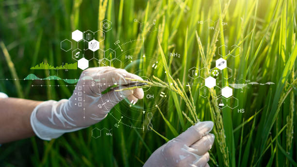 Ph.D. in Agro-Sciences: Introduction, Admission, Registration, Eligibility, Duration, Fees, Syllabus 2024