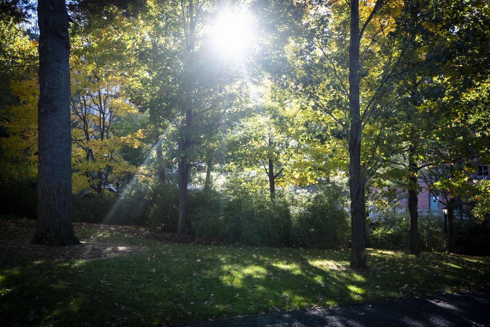 Ph.D. in Anthropology with Concentration in Tropical Conservation and Development: Introduction, Admission, Registration, Eligibility, Duration, Fees, Syllabus 2024