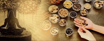 Ph.D. in Ayurveda: Introduction, Admission, Registration, Eligibility, Duration, Fees, Syllabus 2024