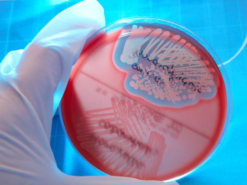 Ph.D. in Biochemistry or Biophysics: Introduction, Admission, Registration, Eligibility, Duration, Fees, Syllabus 2024