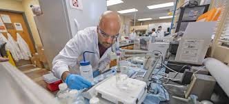 Ph.D. in Bioengineering - BioInnovate Track: Introduction, Admission, Registration, Eligibility, Duration, Fees, Syllabus 2024