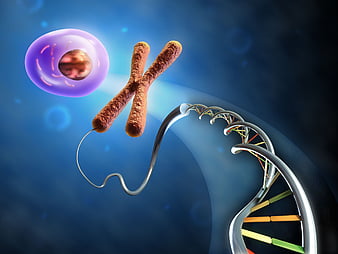 PhD in Biological Sciences: Introduction, Admission, Registration, Eligibility, Duration, Fees, Syllabus 2024