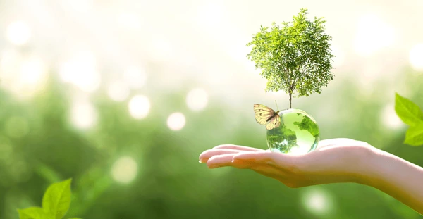 Ph.D. in Biology - Environment: Introduction, Admission, Registration, Eligibility, Duration, Fees, Syllabus 2024