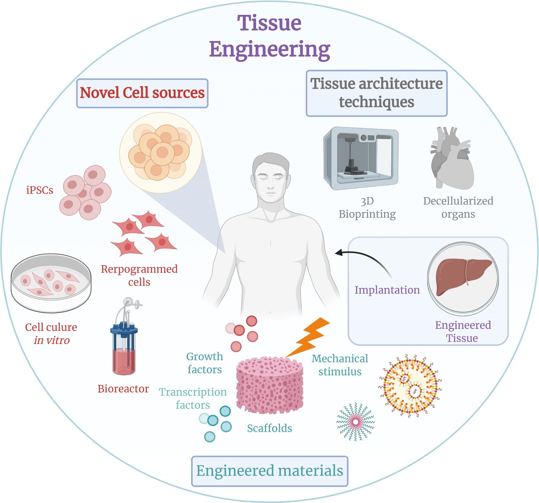 Ph.D. in Biomedical Engineering - Biomaterials & Tissue Engineering: Introduction, Admission, Registration, Eligibility, Duration, Fees, Syllabus 2024
