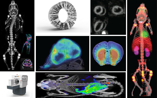 Ph.D. in Biomedical Imaging Sciences - Advance Medical Diagnostics and Treatment: Introduction, Admission, Registration, Eligibility, Duration, Fees, Syllabus 2024