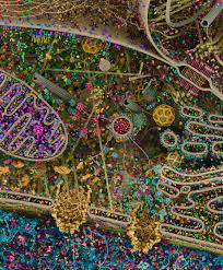 Ph.D. in Cell/Cellular Biology and Histology: Introduction, Admission, Registration, Eligibility, Duration, Fees, Syllabus 2024