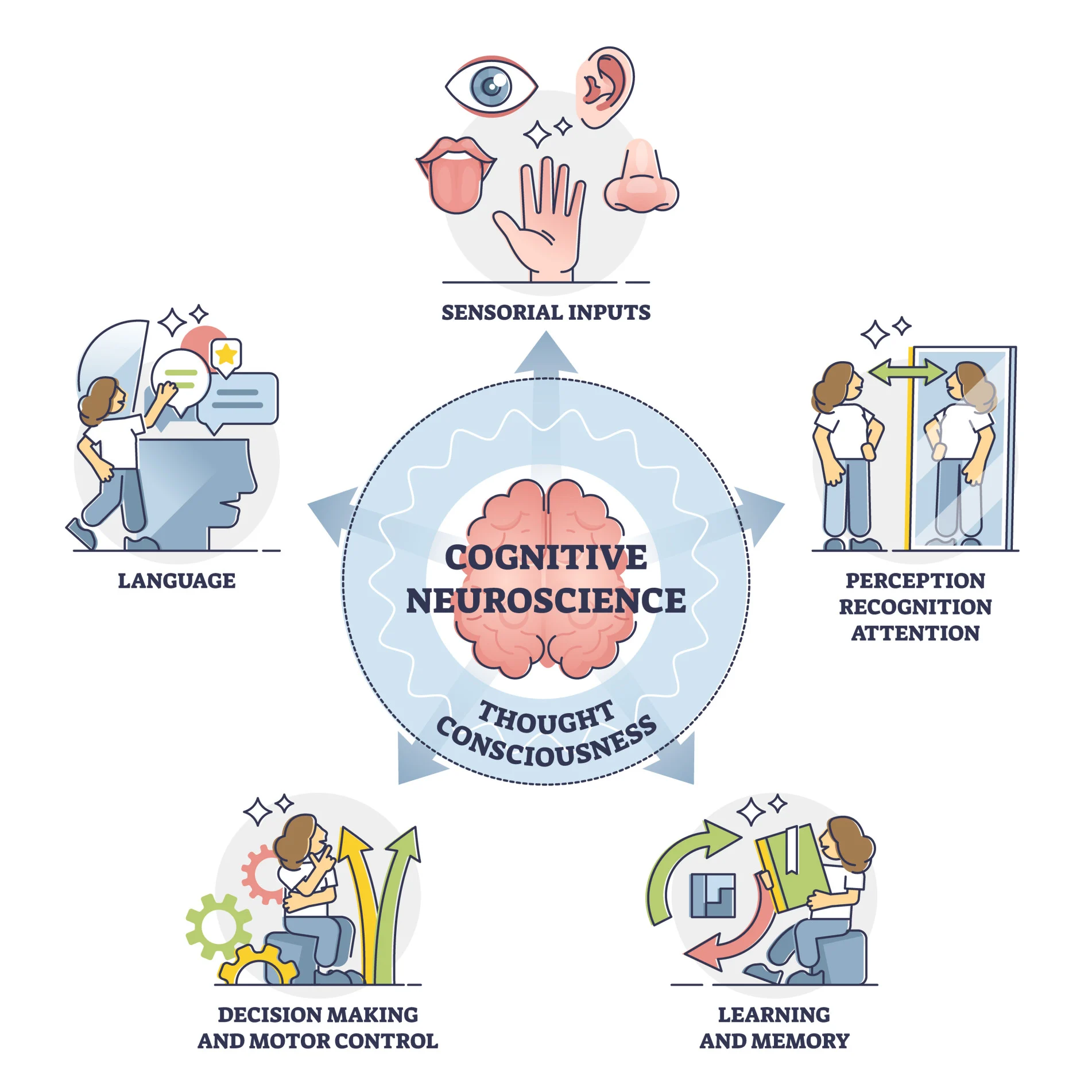 Ph.D. in Cognitive Neuroscience: Introduction, Admission, Registration, Eligibility, Duration, Fees, Syllabus 2024