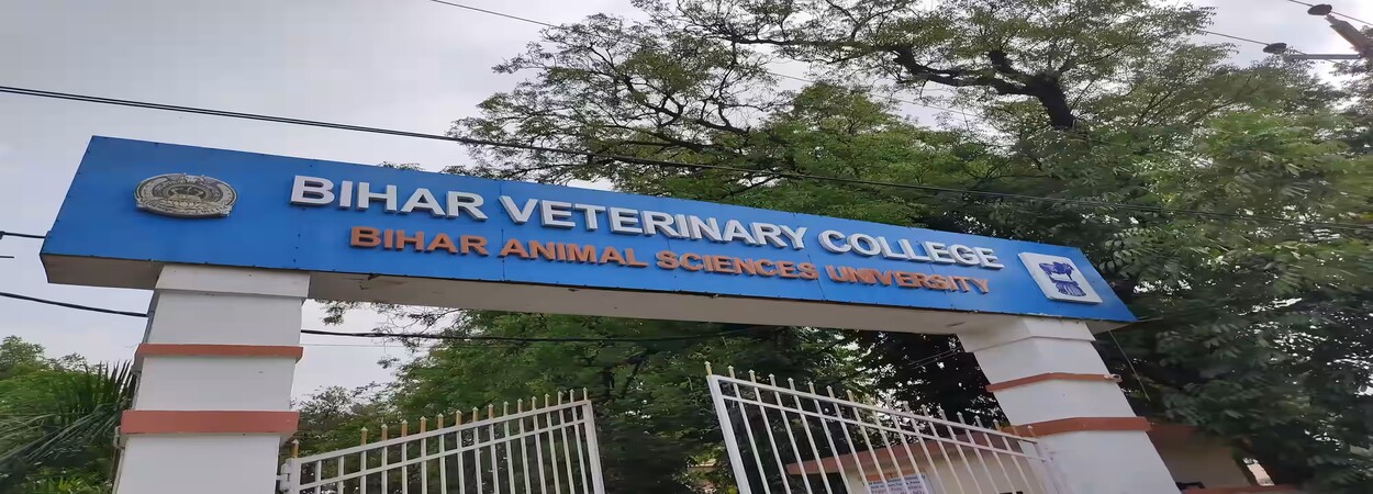 Ph.D. From Bihar Animal Sciences University : Introduction, Fee Structure, Admission Process, Ph.D. Subjects, Documents, Syllabus, Methodology, Highlights, Scholarship, FAQs