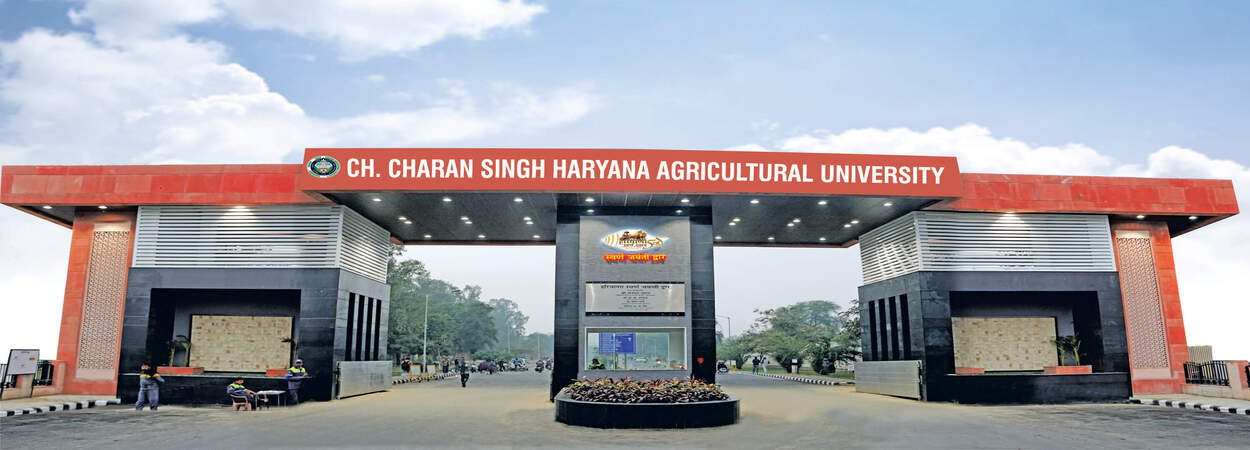 Ph.D. From Choudhary Charan Singh University: Introduction, Fee Structure, Admission Process, Subjects, Documents, Syllabus, Methodology, Highlights, Scholarship, FAQs