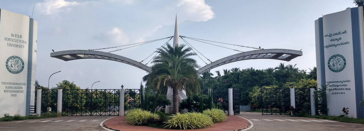 Ph.D. From Dr. Y.S.R. Horticultural University