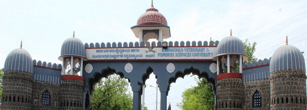 Ph.D. From Karnataka Veterinary, Animal & Fisheries Science University, Karnataka