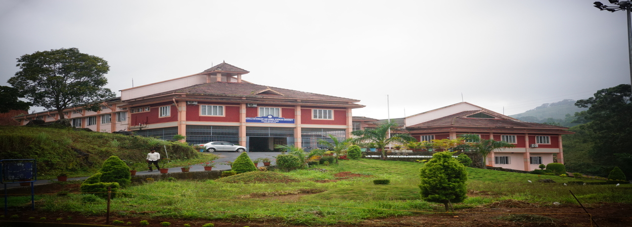 Ph.D. From Kerala Veterinary & Animal Sciences University, Kerala