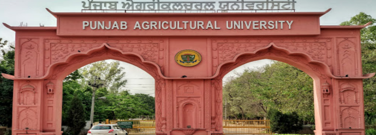 Ph.D. From Punjab Agriculture University, Punjab