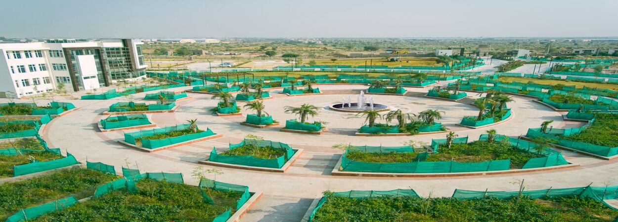 Ph.D. From R.N.B. Global University, Rajasthan